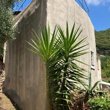 Casa Olivia Lacremà