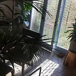 Casa Olivia Lacrema * 피날레리구레