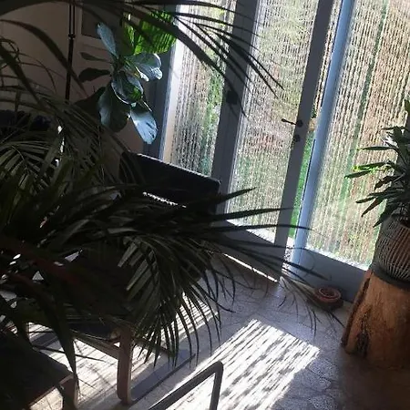 Casa Olivia Lacrema * Finale Ligure