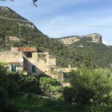 Casa Olivia Lacrema